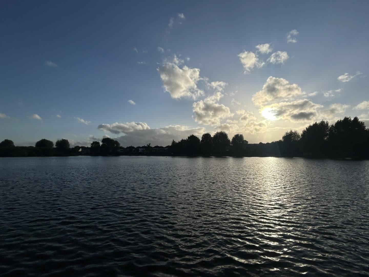 Evening sun over a calm lake with trees along the far shore